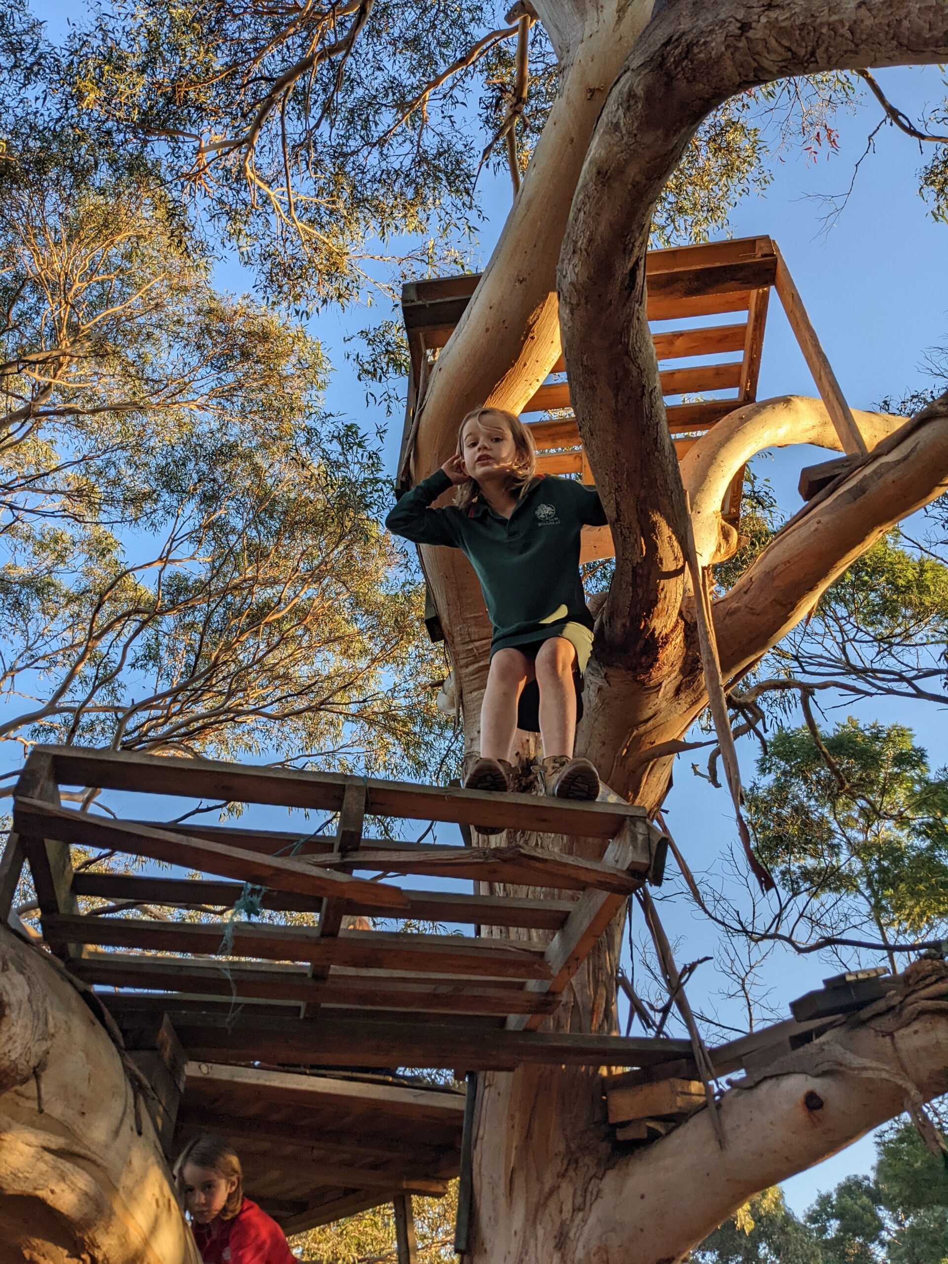 natur.ed community connection nature child